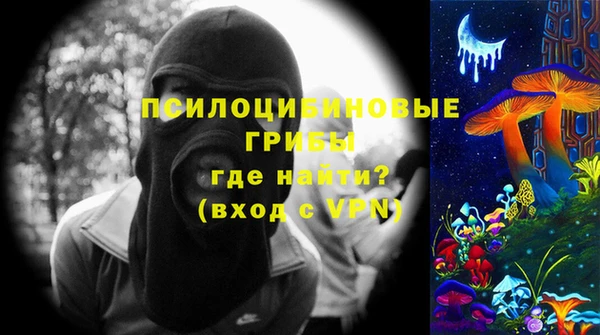 МДПВ Алзамай