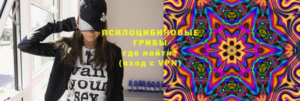ГАЛЛЮЦИНОГЕННЫЕ ГРИБЫ Алексин