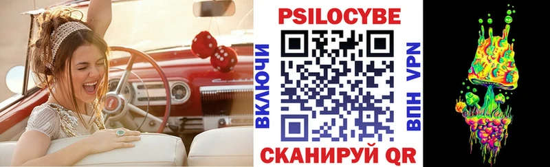 как найти   Кола  Псилоцибиновые грибы прущие грибы 