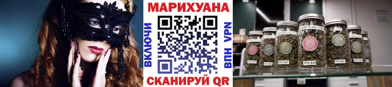 kraken   shop телеграм  Марихуана семена  сколько стоит  Кола 